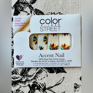 ✨Sold✨Color Street Feather Together Accent